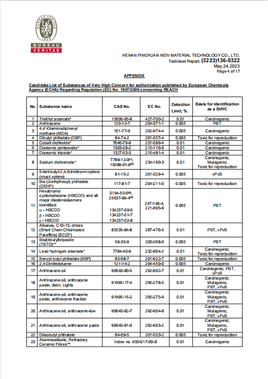 RGPPS REACH 報告 3